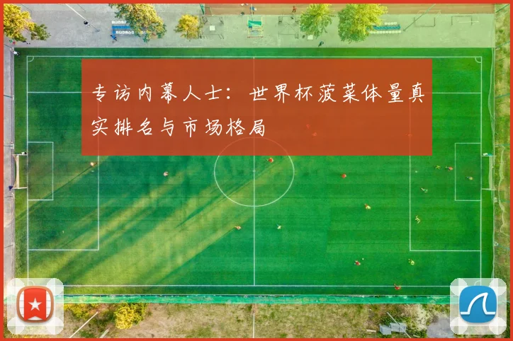 专访内幕人士:世界杯菠菜体量真实排名与市场格局