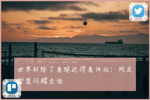 世界杯除了看球还得看评论：网友智慧闪耀全场